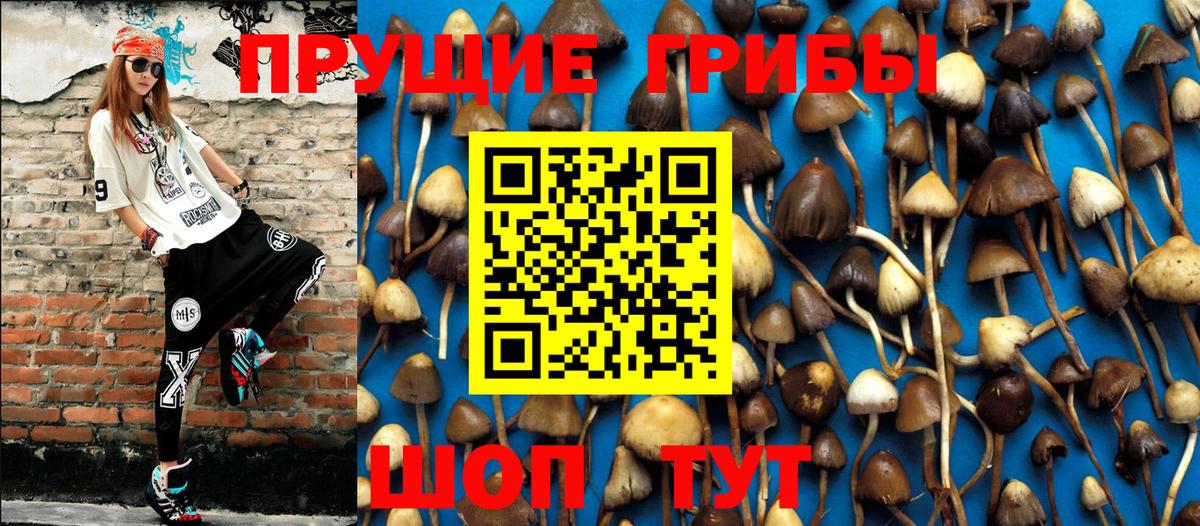 Псилоцибиновые грибы ЛСД  Вход с VPN  дарнет шоп  Тимашёвск 