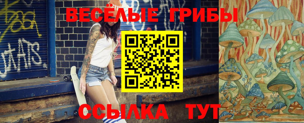 Галлюциногенные грибы Psilocybe Тимашёвск
